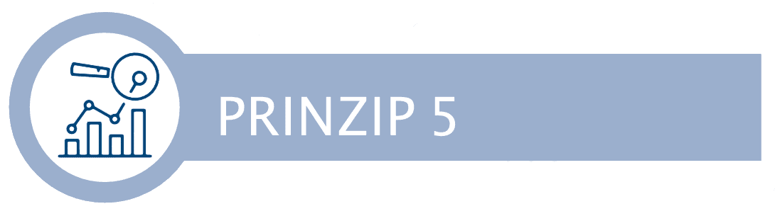 Prinzip5