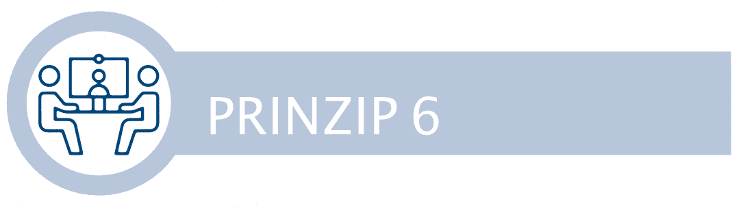 Prinzip6